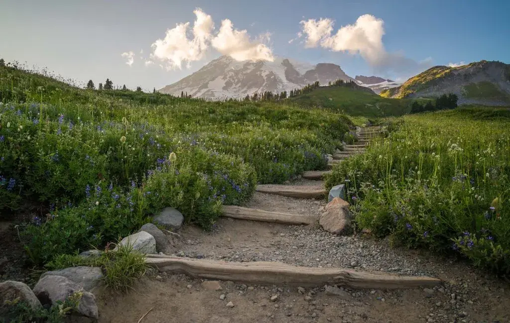 Mount Rainier
